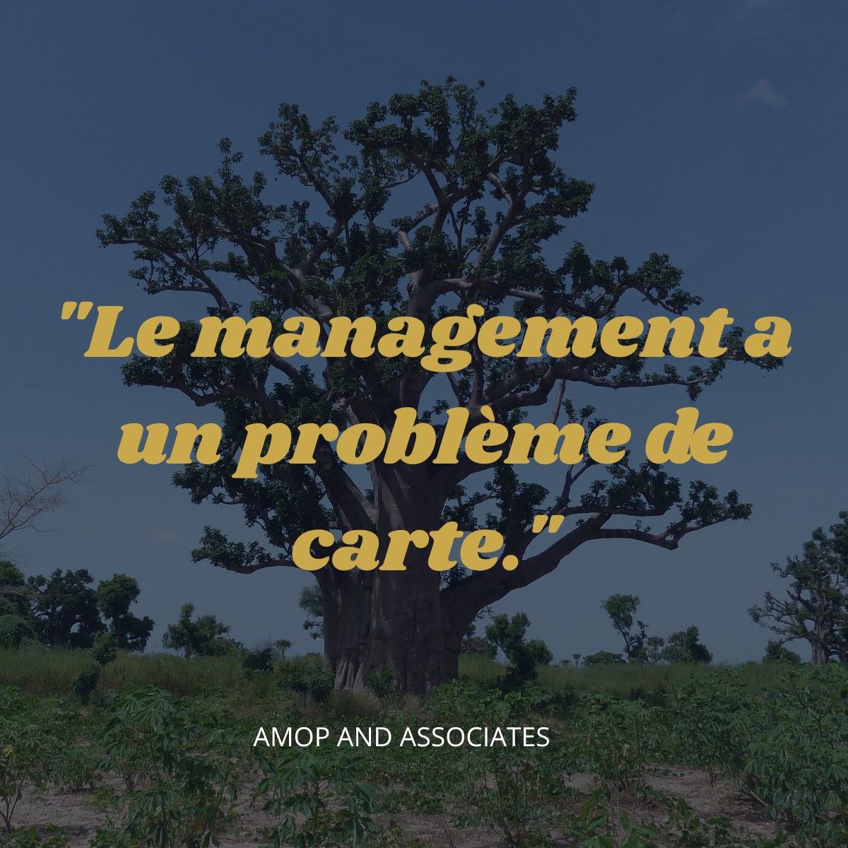 management alternatif enraciné AMOP And Associates